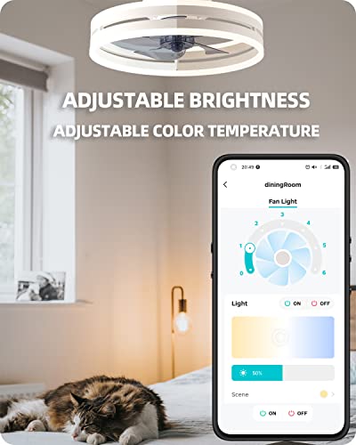 YoloOwl Flush Mount Ceiling Fan with Light and Bluetooth Speaker, 6 Speeds Reversible 3-Color Dimmable Bladeless Ceiling Fan, Low Profile Ceiling Fan Light with APP and Remote Control, 19.8 Inch | The Storepaperoomates Retail Market - Fast Affordable Shopping