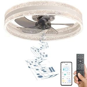 ELFTEAPOT Flush Mount Ceiling Fans with Lights, Enclosed Ceiling Fan With Speaker, Low Profile Ceiling Fans with Remote & APP Control, Indoor morden Ceiling Fan with Lights for Bedroom/Kids, 20″