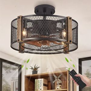 diniluse 17” Caged Ceiling Fans With Lights, Bladeless Ceiling Fans with Lights Remote Control, Reversible Motor, 6 Speeds, 2 Hours Timing, Farmhouse Ceiling Fans for Living Room, Bedroom, Kitchen, Dining Room