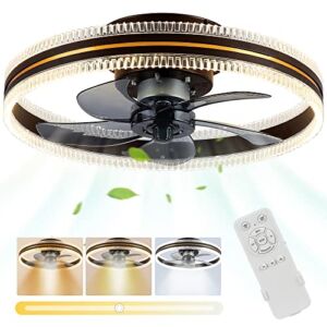 Low Profile Ceiling Fans With Lights Remote Control, 20” Modern Smart Flush Mount Enclosed Led Ceiling Fan, 3 Colors/3 Speeds/Timer, Bladeless Farmhouse Quiet Fandeliers for Indoor/Dining Kids Room