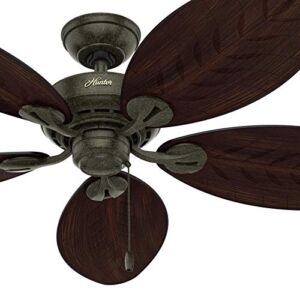 Hunter Fan 54 inch Contemporary Provencal Gold Outdoor Ceiling Fan and Pull Chain (Renewed)