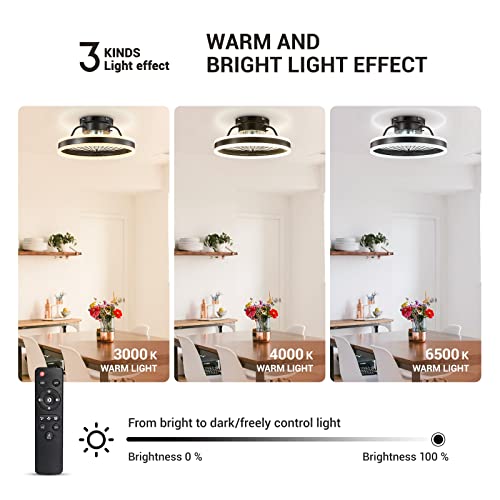 Modern Ceiling Fans with Lights, Black Small Ceiling Fan, Dimmable 3 Color 3 Speeds Timing, Low Profile Ceiling Fan with light for Kids Room, Bedroom, Study Room(With Light and Remote Control) | The Storepaperoomates Retail Market - Fast Affordable Shopping