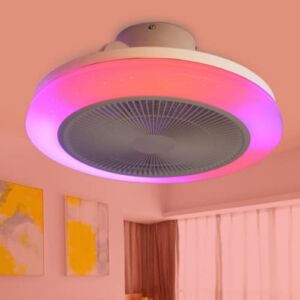 Ceiling Fan with RGB Lights Bluetooth Speaker Music Ceiling Fans Lamps Color Changing with Remote Control Lamp(48cm diameter)