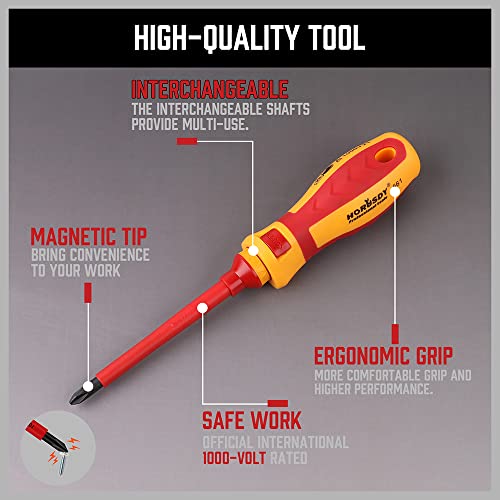 HORUSDY 13-Pieces 1000V Insulated Screwdriver Set, All-in-One Premium Professional Magnetic Tip Electrician screwdriver Set | The Storepaperoomates Retail Market - Fast Affordable Shopping