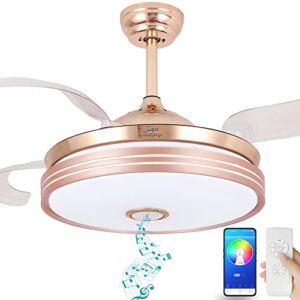 DewShrimp Retractable Ceiling Fan with Lights and Bluetooth Speaker, Bluetooth Ceiling Fan with Light, Remote and APP Control Silent Motor 7 Color Change 42 Inch (Rose Gold)