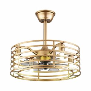 20In Caged Ceiling Fan with Light, 3 Speeds Adjustable, Ceiling Fan Lights with Remote, Industrial Bladeless Ceiling Fans for Kitchen, Bedroom, Living Room, Farmhouse,4xE12 No Bulb, Gold