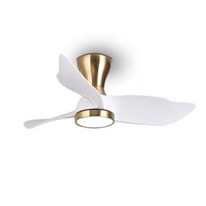 reiga 36 Inch Flush Mount Modern DC Low Ceiling Fan with Dimmable Light Kit Remote Control for Living room, Office, Bedroom, Patio