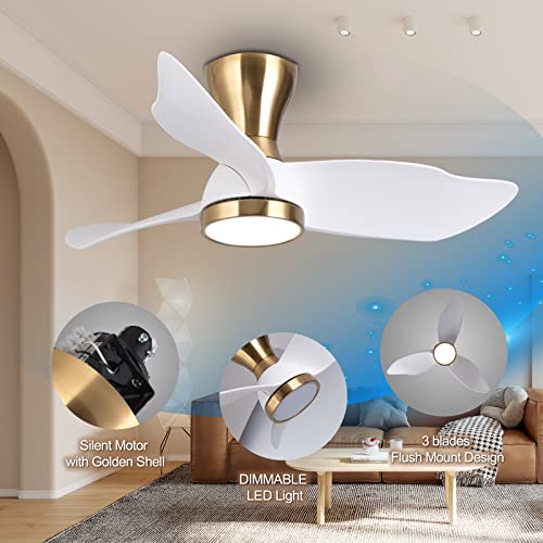 reiga 36 Inch Flush Mount Modern DC Low Ceiling Fan with Dimmable Light Kit Remote Control for Living room, Office, Bedroom, Patio | The Storepaperoomates Retail Market - Fast Affordable Shopping