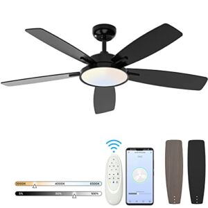 Roomratv Smart Ceiling Fan with Dimmable Light 52 Inch Quiet Reversible DC Motor Fan Remote Control Compatible with Alexa Google home