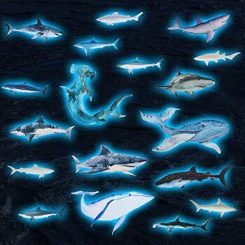 18 Pieces Sharks Peel Shark Wall Decals Removable Wall Stickers Animal Shark Decal Stickers Sea Theme Wall Decor Sticker for Room Bathroom Nursery Home Decor (Glow in The Dark) | The Storepaperoomates Retail Market - Fast Affordable Shopping