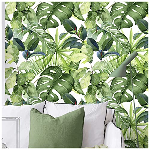HaokHome 93143 Tropical Wallpaper Peel and Stick Palm Leaves Removable Stick on Home Decor 17.7in x 118in | The Storepaperoomates Retail Market - Fast Affordable Shopping