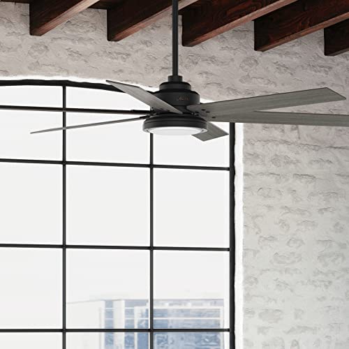 Hunter Fan Company 51473 Warrant Ceiling Fan, 70, Matte Black | The Storepaperoomates Retail Market - Fast Affordable Shopping