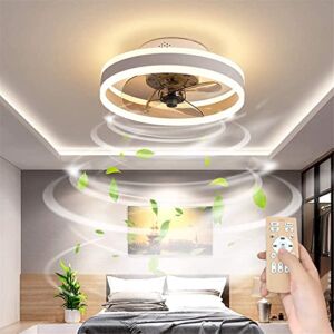 Child Ceiling Fan with Lights Lighting LED Light Adjustable Remote Control Dimmable 6 Gear Wind Speed Chandelier Modern Invisible Acrylic Bedroom Living Room Can Timing Hanging Quiet Lamp (15.74in)