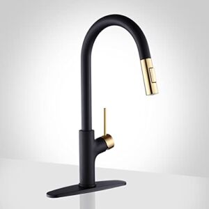 Achelous Black and Gold Kitchen Faucet with Pull Down Magnetic Docking Sprayer,Stainless Steel Pull Out RV Kitchen Sink Faucets,Single Handle Deck Mount,Grifos De Cocina (Black and Gold)