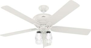 Hunter Fan Company 50946 Grantham Ceiling Fan, 60, Fresh White