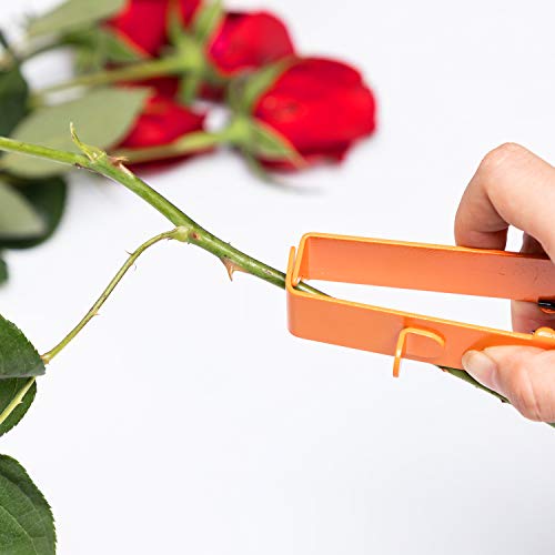 WISEPRO Metal Leaf Thorn Stripper Tool,Rose Stripper Tool, Rose Removing Burrs Pliers & Garden | The Storepaperoomates Retail Market - Fast Affordable Shopping