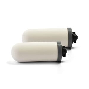 ProOne Pair of 5-inch Prepper Replacement Filters for ProOne Traveler+ and Scout II Countertop Gravity Water Filter System