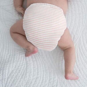 Amazing Baby Cotton Muslin Smartnappy, NextGen Hybrid Cloth Diaper Cover + 1 Tri-Fold Reusable Insert + 1 Reusable Booster, Tiny Stripes, Pink, Size 4, 22-40 lbs