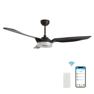 Trifecte 60 Inch Indoor&Outdoor Ceiling Fan with Light and Remote, Smart Ceiling Fan Compatible with App/Alexa/Google/Siri, Low Profile Ceiling Fan with 10-Speed Reversible Quiet DC Motor, ETL Listed