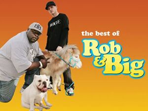 The Best of Rob and Big Volume 1