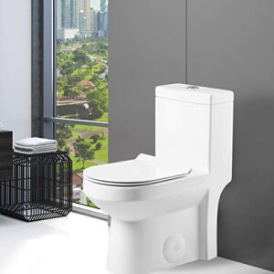 Fine Fixtures Dual-Flush Elongated One-Piece Toilet with High Efficiency Flush