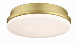 Fanimation Kute Ceiling Fan LED Light Kit – Brushed Satin Brass