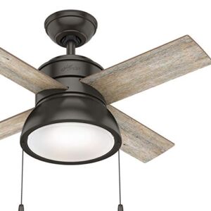 Hunter Fan 36 inch Contemporary Noble Bronze Indoor Ceiling Fan with Light Kit (Renewed)