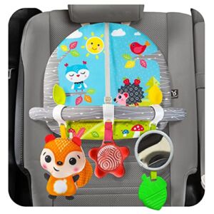 Car Seat Toys for Babies – Double Sided Rear Facing Carseat Toy with Baby Mirror for Infants Girls and Boys 0+ Month by BENBAT – Blue
