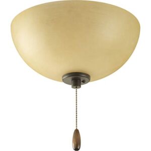 Bravo Collection Two-Light Ceiling Fan Light