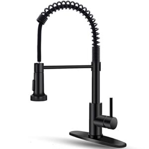 OWOFAN Kitchen Faucet with Pull Down Sprayer Black Stainless Steel Single Handle Pull Out Spring Sink Faucets 1 Hole Or 3 Hole Dual Function for Farmhouse Camper Laundry Utility Rv Wet Bar