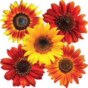 StikArt Removable Sunflower Wall Decals Printed on Waterproof Canvas (14 Yellow, Orange & Red Flowers)