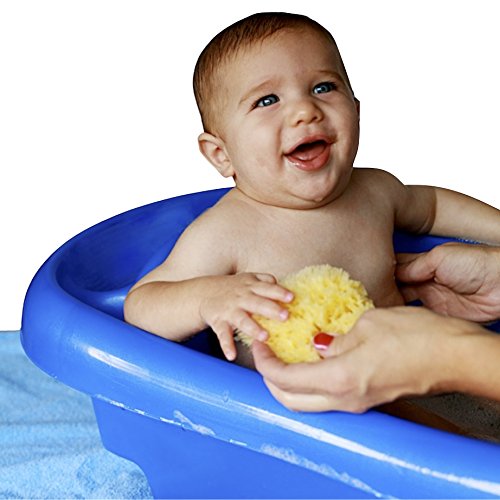 Baby Buddy Baby Bath 4” Yellow Sea Sponge, Absorbent Natural Sea Sponge, Soft on Tender Skin, Biodegradable, Hypoallergenic, Bath Accessories for Baby, Natural Sea Sponges for Bathing, 1 Pack | The Storepaperoomates Retail Market - Fast Affordable Shopping