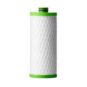 AO Smith Claryum® Filter Replacement