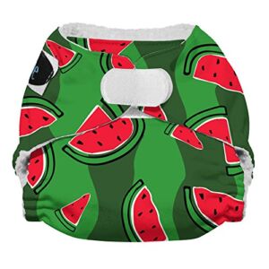 Imagine Baby Products Newborn Stay Dry All-in-One Diaper, Hook and Loop, Watermelon Patch