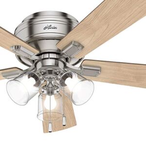 Hunter Fan 54 inch Low Profile Brushed Nickel Ceiling Fan with LED Light Kit (Renewed)