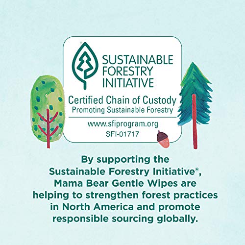 Amazon Brand – Mama Bear Gentle Fragrance-Free Baby Wipes, Hypoallergenic, 800 Count, 100 Count (Pack of 8) | The Storepaperoomates Retail Market - Fast Affordable Shopping
