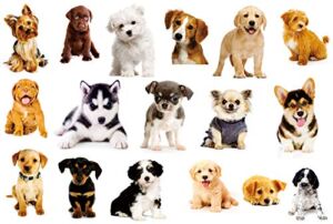 17PCS Dogs Wall Sticker 3D Pet Stickers for Kids Wall Decals Living Room Baby Rooms Bedroom Toilet House Wall DIY Decoration