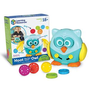 Learning Resources Hoot the Fine Motor Owl – 6 Pieces, Ages 18+ Months Toddler Learning Toys, Fine Motor and Sensory Toys for Toddlers, Educational Toys for Toddlers