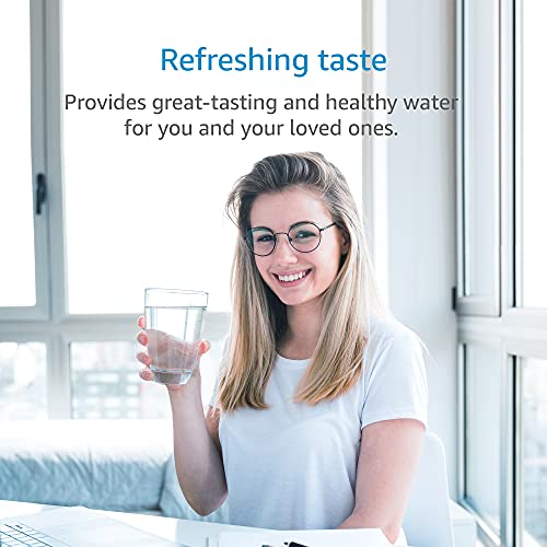 AQUACREST 750R Drinking Water Filter, Replacement for Culligan 750R Level 1 (Pack of 2), Model No.WF36-75 | The Storepaperoomates Retail Market - Fast Affordable Shopping