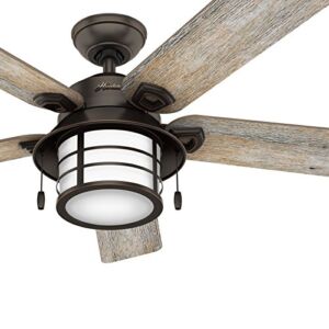 Hunter Fan 54 in. Outdoor Ceiling Fan with Light in Onyx Bengal (Renewed)