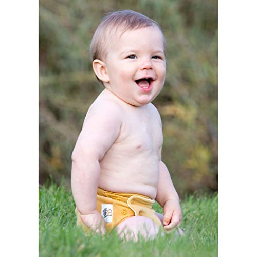 GroVia Buttah O.N.E. Reusable Baby Cloth Diaper (Glacier) | The Storepaperoomates Retail Market - Fast Affordable Shopping
