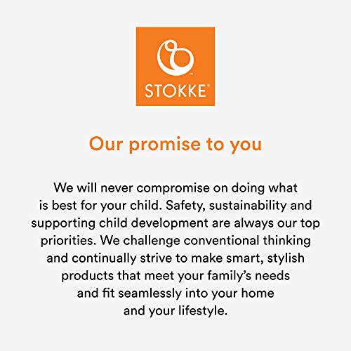 Stokke Clikk High Chair, Cloud Grey – All-in-One High Chair with Tray + Harness – Light, Durable & Travel Friendly – Ergonomic with Adjustable Features – Best for 6-36 Months or Up to 33 lbs | The Storepaperoomates Retail Market - Fast Affordable Shopping