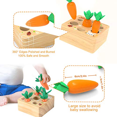 Wooden Toys for 1 2 3 Years Old Boys and Girls Montessori Size Sorting & Counting Puzzle Game Carrots Harvest Developmental Gifts for Fine Motor Skill | The Storepaperoomates Retail Market - Fast Affordable Shopping