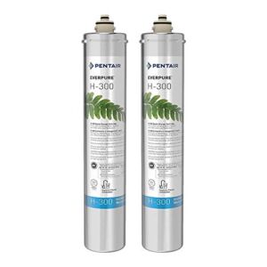 Pentair Everpure H-300 Water Filter Replacement Cartridge for Home Faucet Tap Water Under Sink, EV927072 (2 Pack)