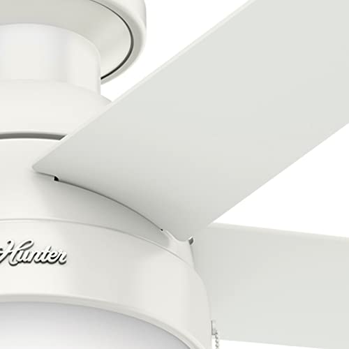 Hunter Anslee Indoor Low Profile Ceiling Fan with LED Light and Pull Chain Control, 46″, White | The Storepaperoomates Retail Market - Fast Affordable Shopping