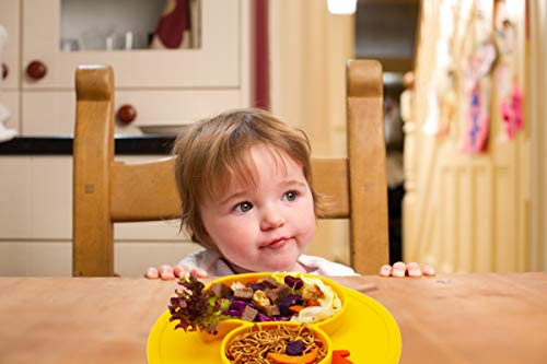Qshare Toddler Plate, Portable Baby Plates for Toddlers and Kids, BPA-Free Strong Suction Plates for Toddlers, Dishwasher & Microwave Safe Silicone Placemat 9x6x1.4 inch | The Storepaperoomates Retail Market - Fast Affordable Shopping