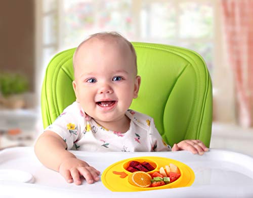 Qshare Toddler Plate, Portable Baby Plates for Toddlers and Kids, BPA-Free Strong Suction Plates for Toddlers, Dishwasher & Microwave Safe Silicone Placemat 9x6x1.4 inch | The Storepaperoomates Retail Market - Fast Affordable Shopping