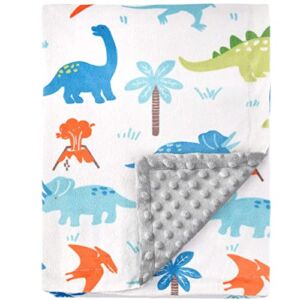HOMRITAR Baby Blanket for Kids Super Soft Minky Blanket with Dotted Backing, Toddler Blanket with Dinosaurs Multicolor Printed 30 x 40 inch(75x100cm)