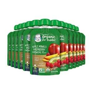 Gerber Organic Baby Food Pouches, Toddler, Apple Mango Raspberry Avocado & Oatmeal, 3.5 Ounce (Pack of 12)