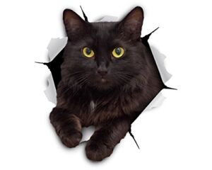 Winston & Bear 3D Cat Stickers – 2 Pack – Black Cat Wall Decals – Cat Lover Gifts – Cat Wall Stickers for Bedroom – Fridge – Toilet – Car – Retail Packaged (Cheeky Black Cat)